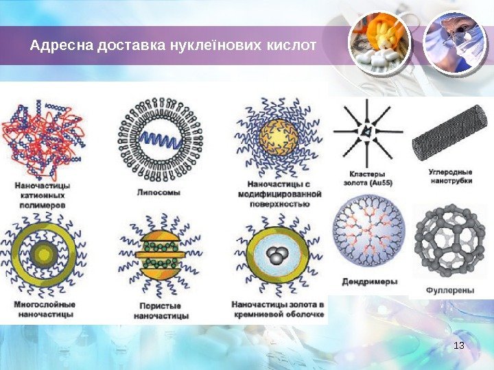 Адресна доставка нуклеїнових кислот 13  