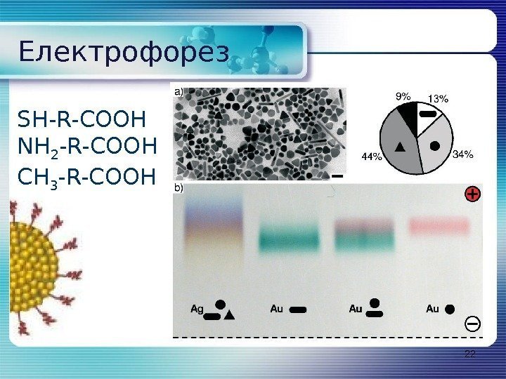 22 Електрофорез SH-R-COOH NH 2 -R-COOH CH 3 -R-COOH 