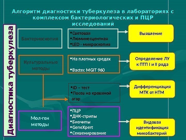 Алгоритм диагностики туберкулеза в лабораториях с комплексом бактериологических и ПЦР исследований. Д и а