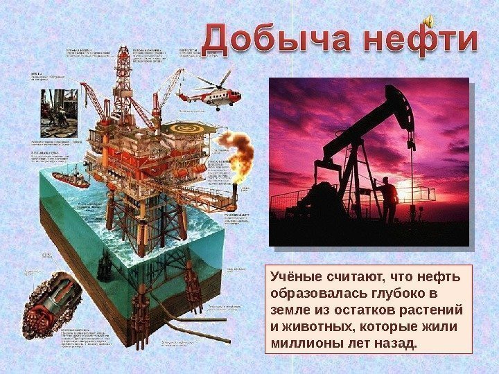 Учёные считают, что нефть образовалась глубоко в земле из остатков растений и животных, которые