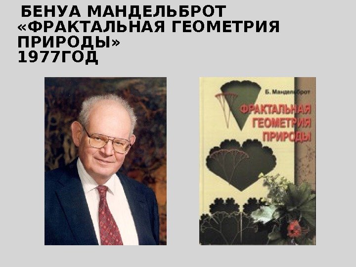   БЕНУА МАНДЕЛЬБРОТ  «ФРАКТАЛЬНАЯ ГЕОМЕТРИЯ ПРИРОДЫ» 1977 ГОД 