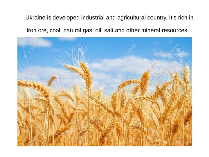 Ukraine is developed industrial and agricultural country. It’s rich in iron ore, coal, natural