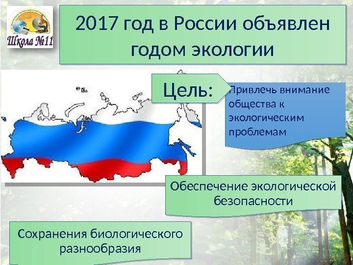 2017 год в России объявлен годом экологии Привлечь внимание общества к экологическим проблемам. Цель: