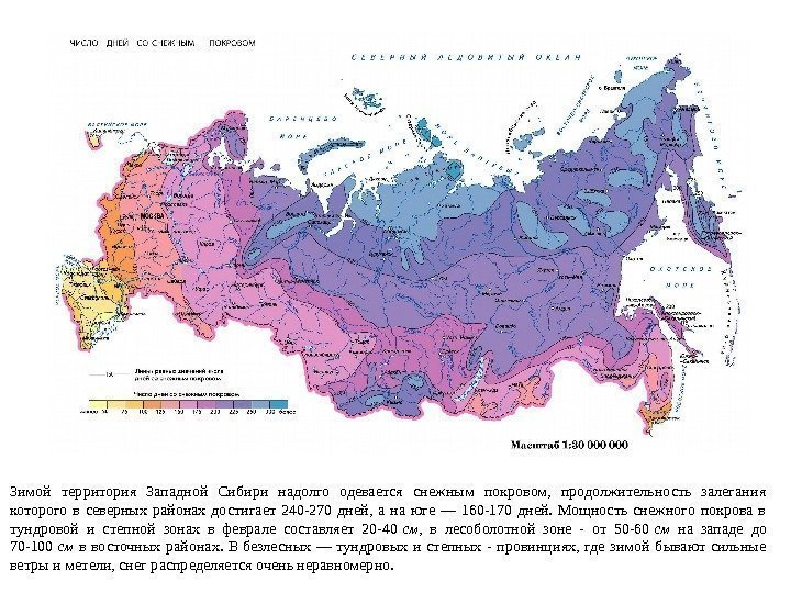 Зимой территория Западной Сибири надолго одевается снежным покровом,  продолжительность залегания которого в северных
