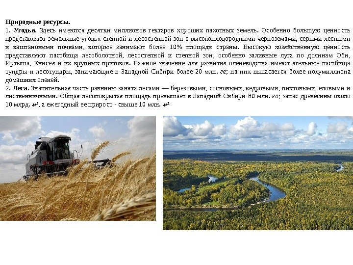 Дайте оценку природных ресурсов западно сибирской равнины