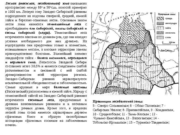 Типы климата западно сибирской равнины таблица. Подзоны Лесной зоны Западной Сибири. Зоны Западно сибирской равнины. Типологическая карта болот Западно-сибирской равнины. Природные зоны Западно сибирской равнины на карте.