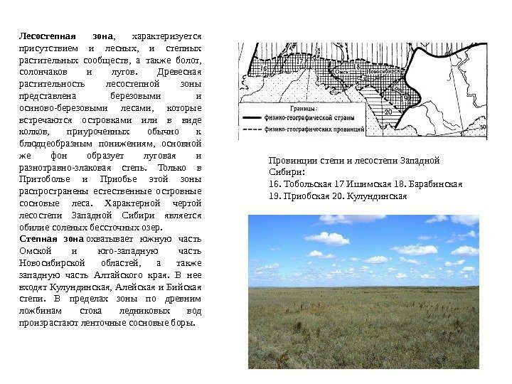 Лесостепная зона ,  характеризуется присутствием и лесных,  и степных растительных сообществ, 