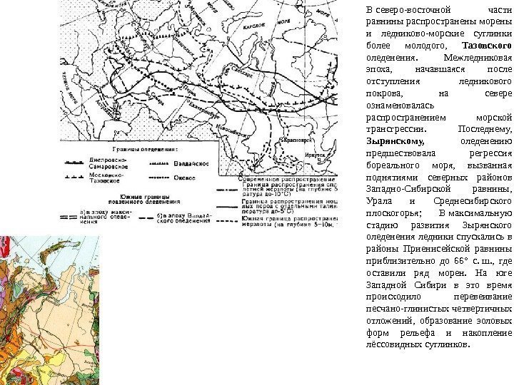 В северо-восточной части равнины распространены морены и ледниково-морские суглинки более молодого,  Тазовского 