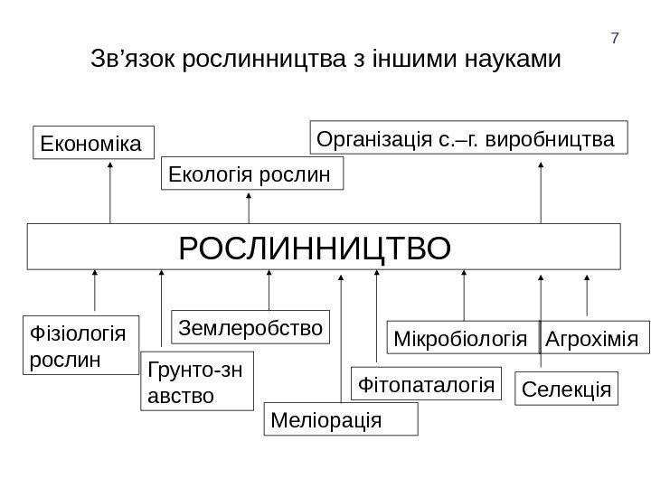 Зв’язок рослинництва з іншими науками Фізіологія рослин Грунто-зн авство Мікробіологія Землеробство   РОСЛИННИЦТВО