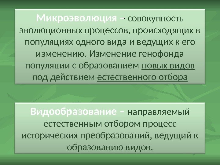 Презентация микроэволюция 11 класс биология