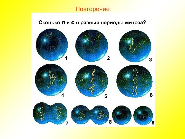 Повторение 