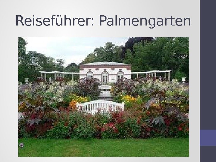 Reiseführer: Palmengarten 