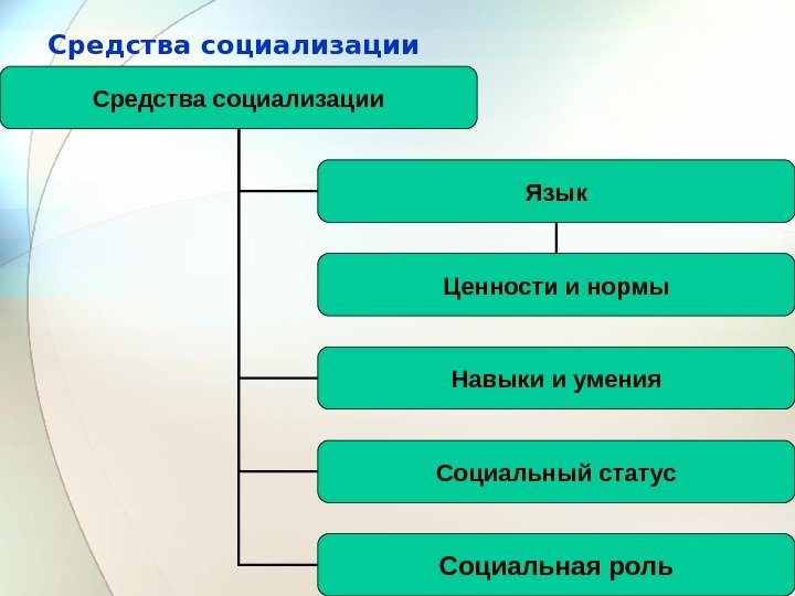 Средства социализации Язык Навыки и умения Социальный статус Ценности и нормы Социальная роль 