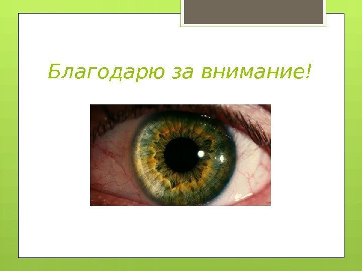 Благодарю за внимание!     