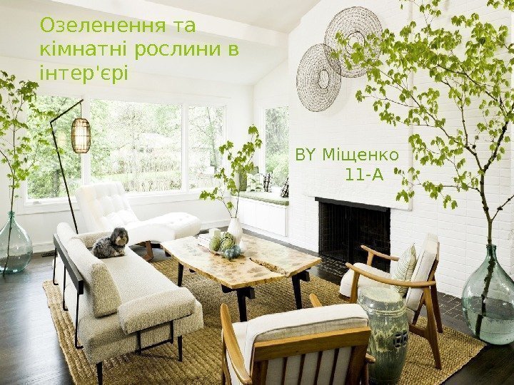 Озеленення та кімнатні рослини в інтер'єрі BY Міщенко  11 -А   
