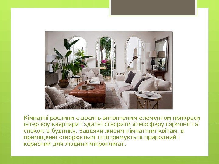 Кімнатні рослини є досить витонченим елементом прикраси інтер’єру квартири і здатні створити атмосферу гармонії
