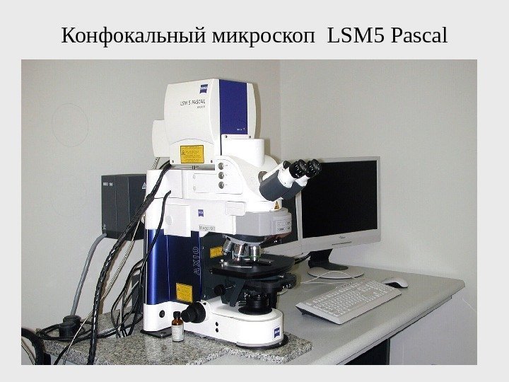Конфокальный микроскоп  LSM 5 Pascal 
