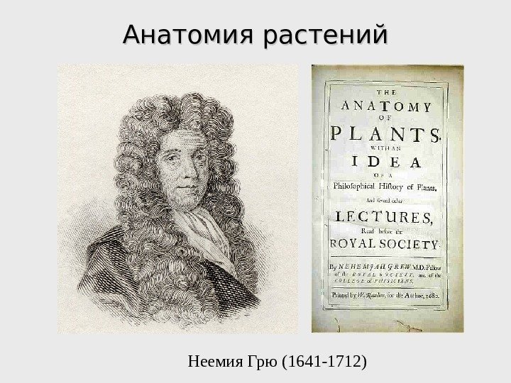 Анатомия растений Неемия Грю (1641 -1712) 