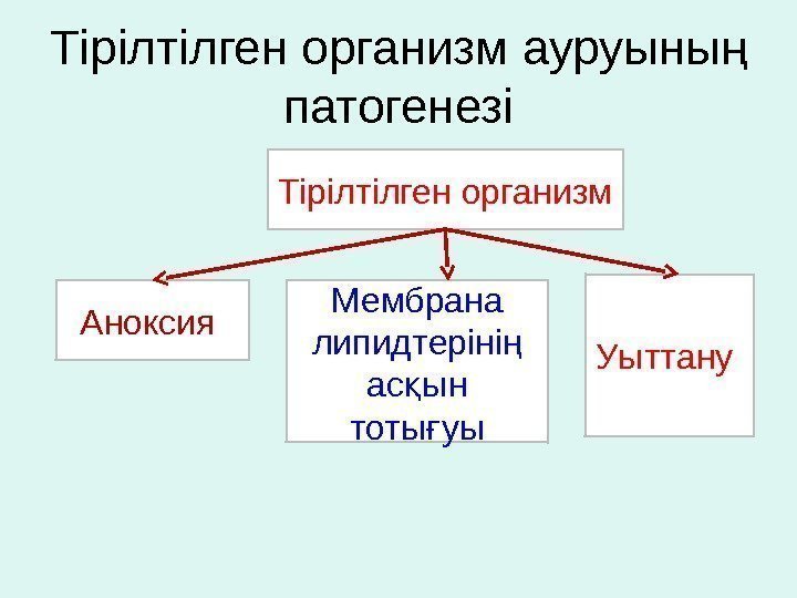 Тірілтілген организм ауруыны ң патогенезі Аноксия  Мембрана липидтеріні  ң ас ын қ