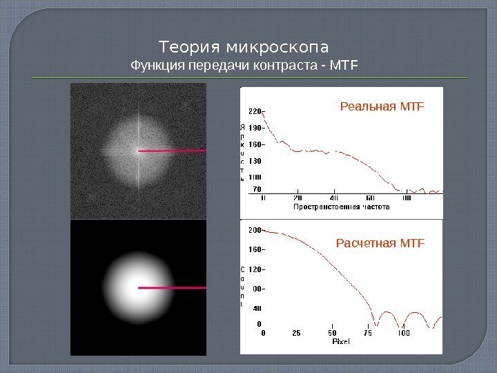 Теория микроскопа Функция передачи контраста - MTF Реальная MTF Расчетная MTF 