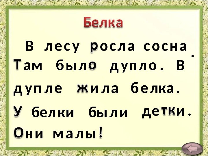 В л е с у о с л а с о с н а.