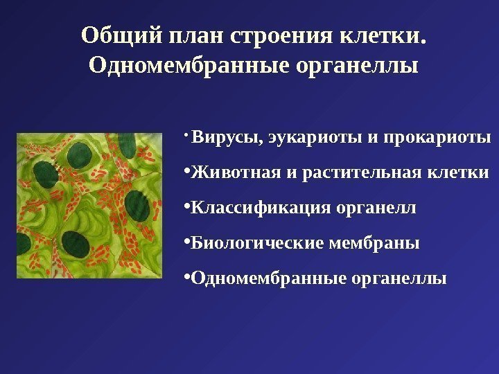 Общий план строения клетки.  Одномембранные органеллы •  Вирусы, эукариоты и прокариоты •