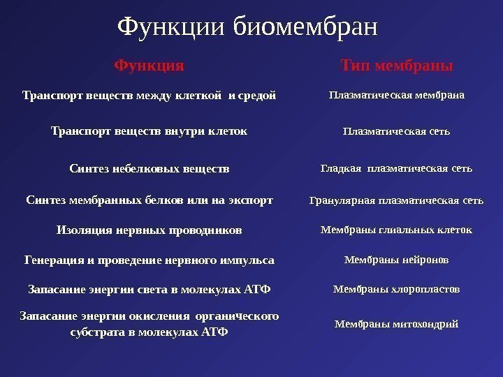 Функции биомембран Функция Тип мембраны Транспорт веществ между клеткой и средой Плазматическая мембрана Транспорт