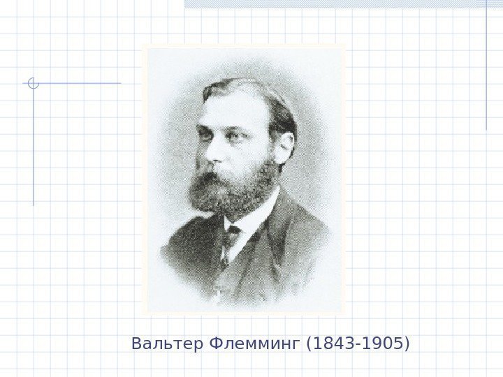 Вальтер Флемминг (1843 -1905) 