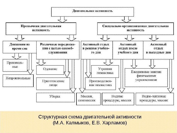 Структурная схема двигательной активности (М. А. Калмыков, Е. В. Харламов) 