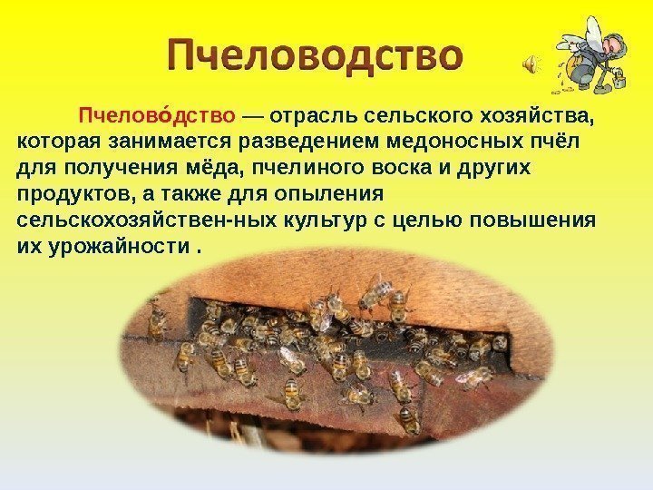   Пчелов дствооо — отрасль сельского хозяйства,  которая занимается разведением медоносных пчёл