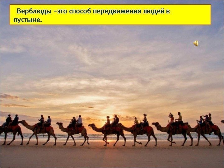   Верблюды –это способ передвижения людей в  пустыне.  