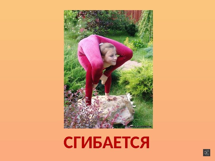 СГИБАЕТСЯ 