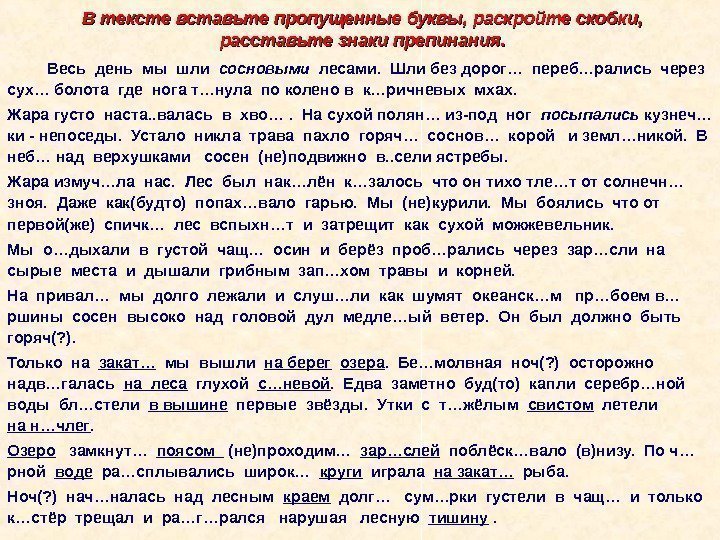 В тексте вставьте пропущенные буквы, раскройте скобки,  расставьте знаки препинания.  Весь день