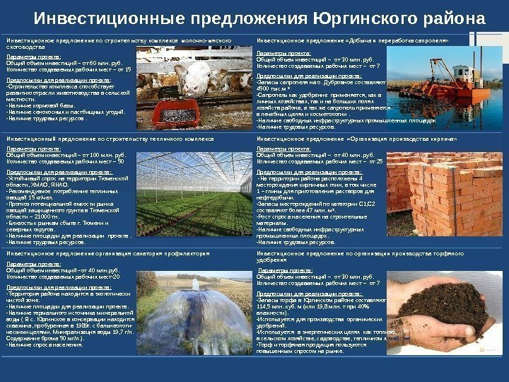 Инвестиционное предложение по строительству комплекса молочно-мясного скотоводства Параметры проекта: Общий объем инвестиций – от