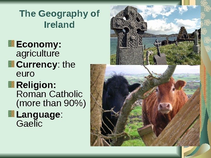 The Geography of Ireland Economy:  agriculture Currency : the euro Religion:  Roman