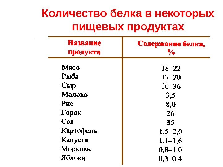 Количество белка в некоторых пищевых продуктах 