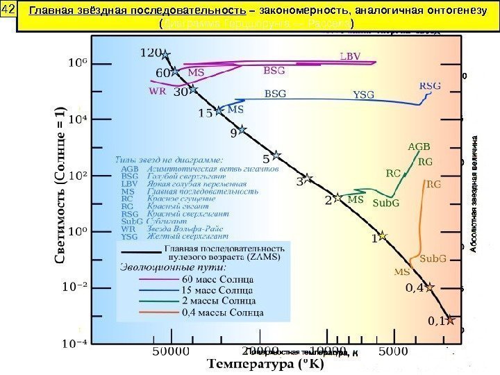 Главная звёздная последовательность – закономерность, аналогичная онтогенезу ( Диаграмма Герцшпрунга — Рассела ) 42
