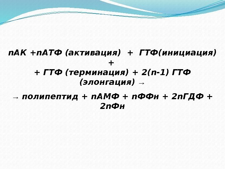  n. АК +n. АТФ (активация) + ГТФ(инициация) + + ГТФ (терминация) + 2(n-1)