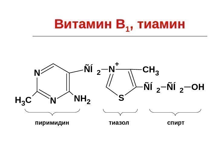 Витамин В 1 , тиамин. N N CH 3 NH 2 ÑÍ2 S N