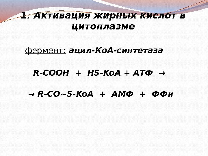 1. Активация жирных кислот в цитоплазме  фермент:  ацил-Ко. А-синтетаза R-COOH + HS-