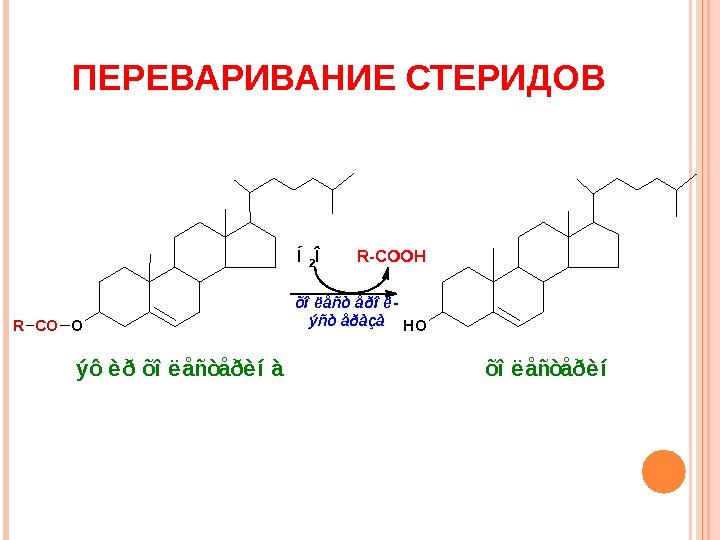 OCOROH Í2Î  R-COOH õî ë åñò åðî ë - ýñò åðàçà ýô è
