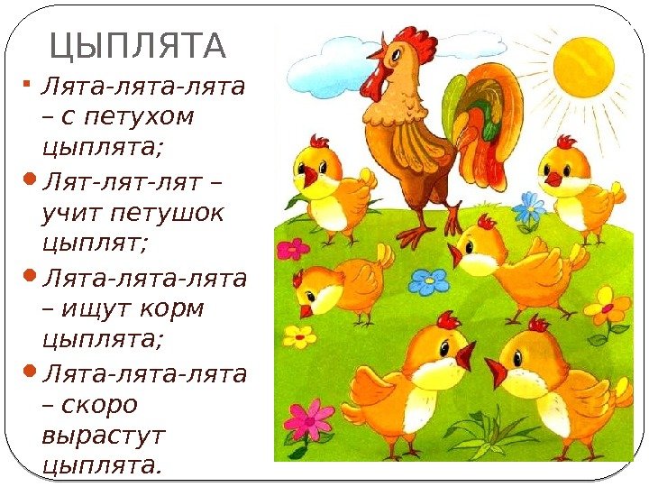 ЦЫПЛЯТА Лята-лята – с петухом цыплята;  Лят-лят – учит петушок цыплят;  Лята-лята
