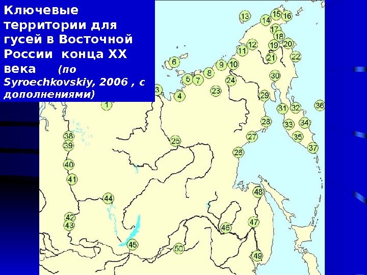 Ключевые территории для гусей в Восточной России конца ХХ века ( по Syroechkovskiy, 2006