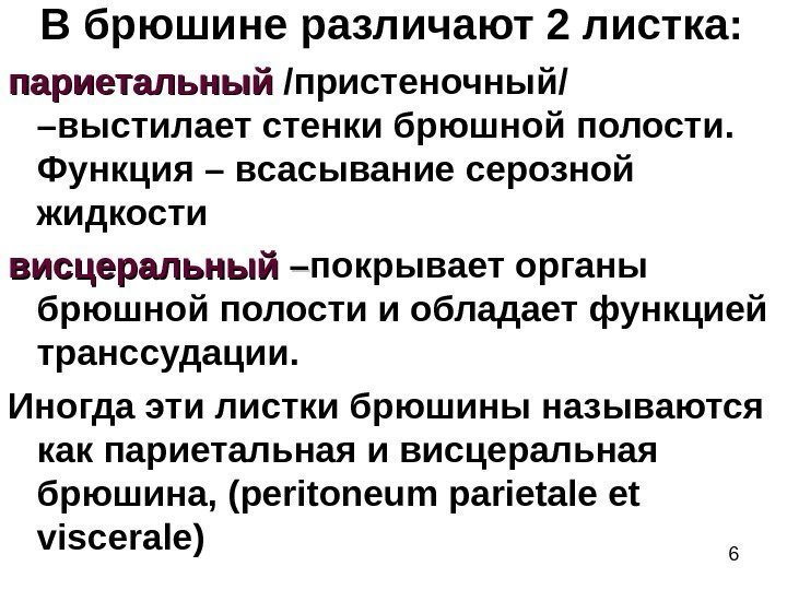 6 В брюшине различают 2 листка: париетальный /пристеночный/  –выстилает стенки брюшной полости. 