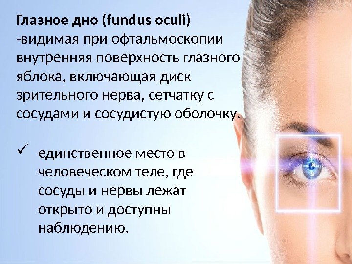 Глазное дно (fundus oculi) -видимая при офтальмоскопии внутренняя поверхность глазного яблока, включающая диск зрительного