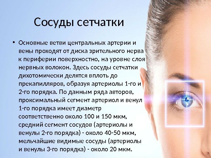 Сосуды сетчатки • Основные ветви центральных артерии и вены проходят от диска зрительного нерва