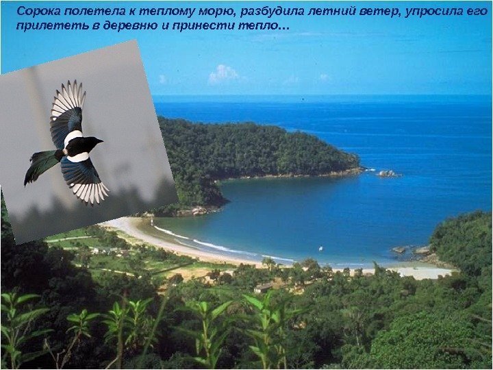 …Сорока полетела к теплому морю, разбудила летний ветер, упросила его прилететь в деревню и