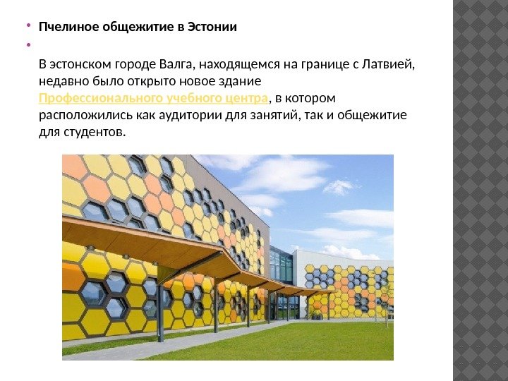  Пчелиное общежитие в Эстонии В эстонском городе Валга, находящемся на границе с Латвией,