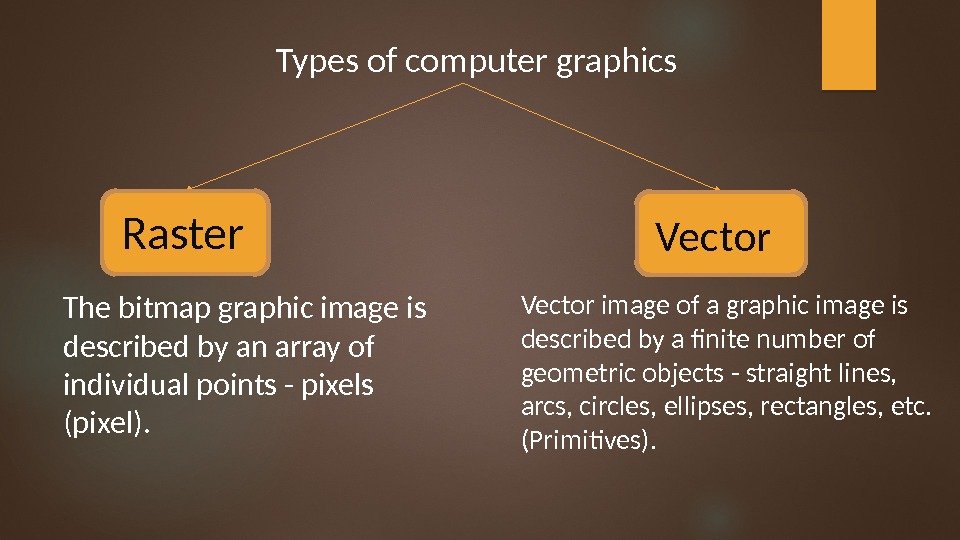 Types of computer graphics Raster Vector The bitmap graphic image is described by an