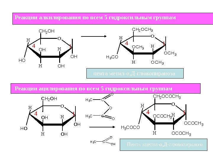  Реакции алкилирования  по всем 5 гидроксильным группам СН 3 Cl + Н